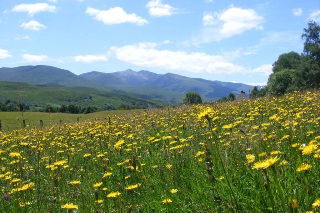 Cul Darach Lodge, Glen Roy Nature Reserve Ройбрідж Екстер'єр фото